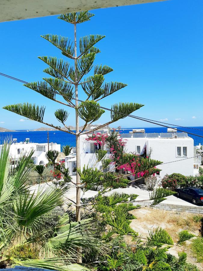 Fotilia Hotel Zambujeira do Mar Dış mekan fotoğraf